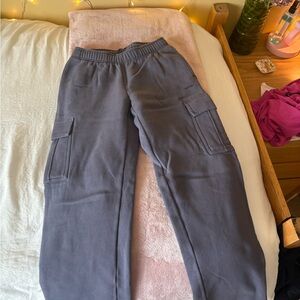 Aritzia Cozy Fleece Sweatpants in Gray